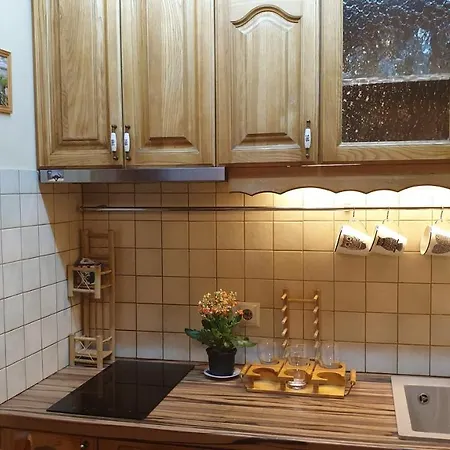 Jurmala's Center Eco House